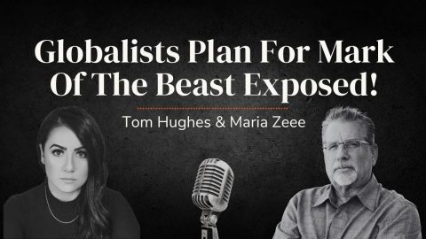 The Beast System + Tom Hughes & Maria Zeee